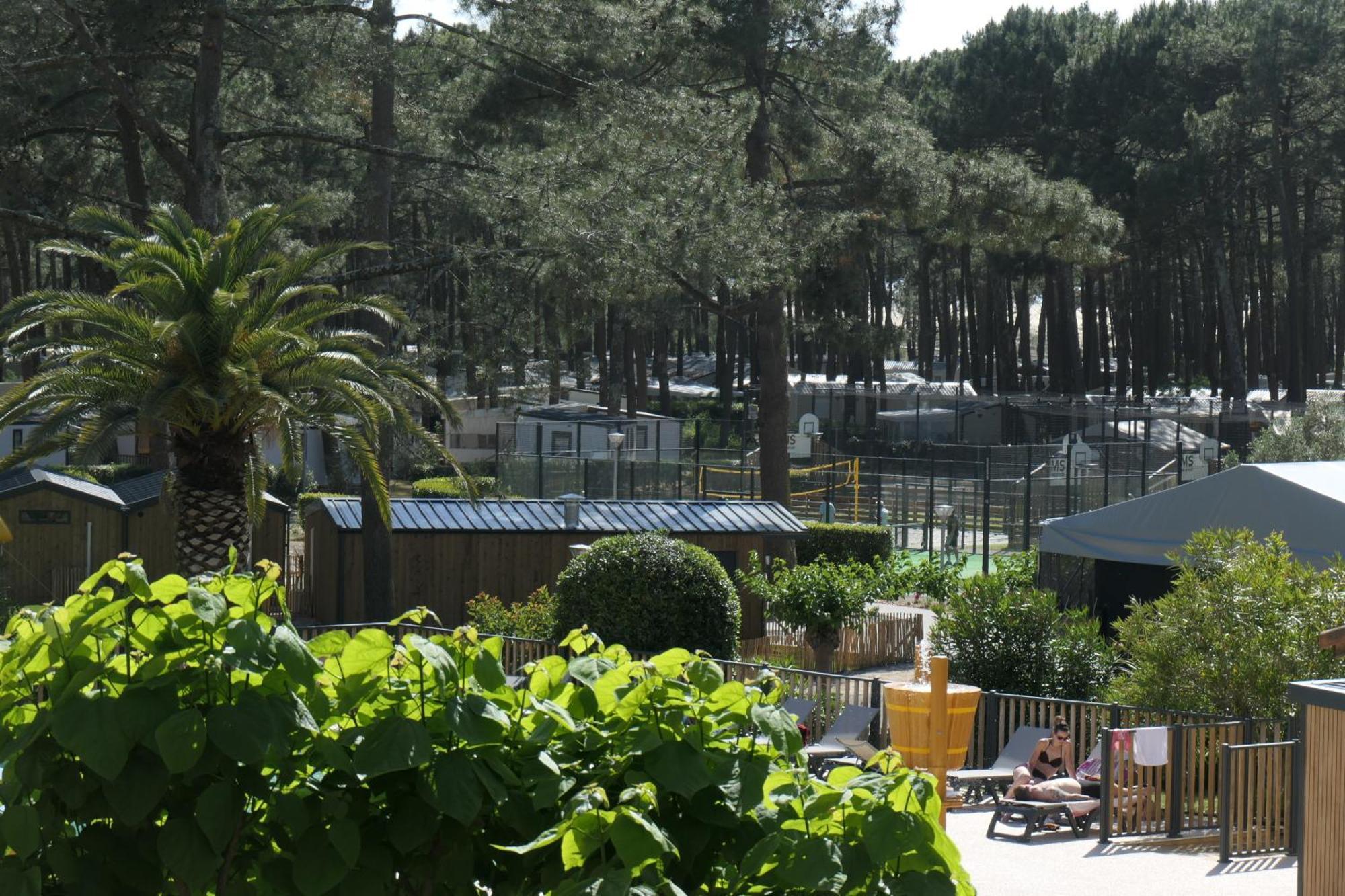 Hoya Surf Camp - Activités + logements Biscarrosse Exterior foto